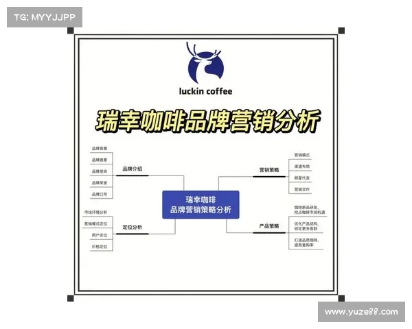 西甲球衣销售分析与品牌价值提升策略探讨 西甲球衣销售分析与品牌价值提升策略探讨